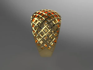 anillo cribiforme Modelo de impresión 3D