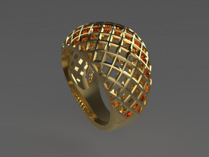 Cribriform ring Modelo de impresión 3D