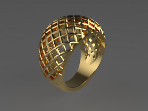 Cribriform ring Modelo de impresión 3D