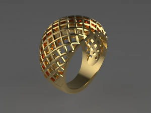 anillo cribiforme Modelo de impresión 3D