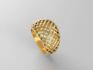 anillo cribiforme Modelo de impresión 3D