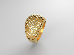 Cribriform ring Modelo de impresión 3D