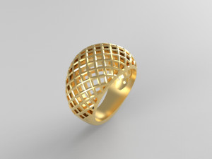 Cribriform ring Modelo de impresión 3D