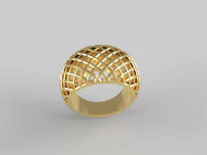 anillo cribiforme Modelo de impresión 3D