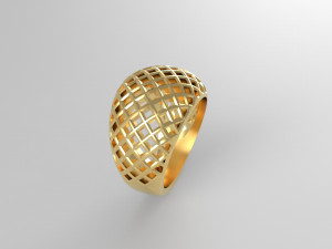 Cribriform ring Modelo de impresión 3D