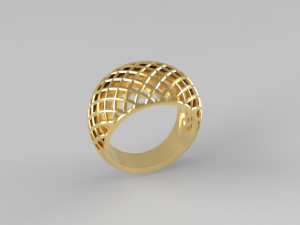 Cribriform ring Modelo de impresión 3D
