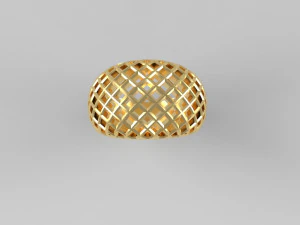 anillo cribiforme Modelo de impresión 3D
