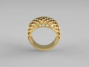 Cribriform ring Modelo de impresión 3D