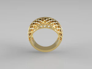 anillo cribiforme Modelo de impresión 3D