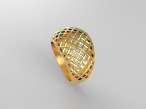 Cribriform ring Modelo de impresión 3D