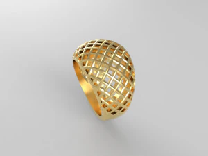 anillo cribiforme Modelo de impresión 3D
