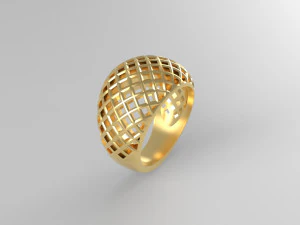 anillo cribiforme Modelo de impresión 3D
