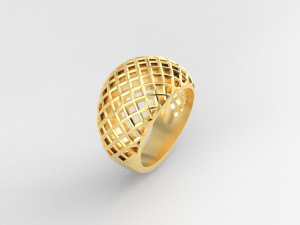 Cribriform ring Modelo de impresión 3D