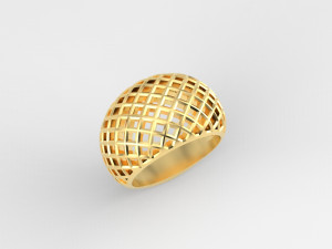 Cribriform ring Modelo de impresión 3D