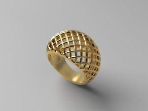 Cribriform ring Modelo de impresión 3D