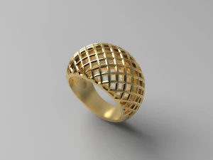 anillo cribiforme Modelo de impresión 3D