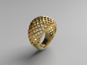 Cribriform ring Modelo de impresión 3D