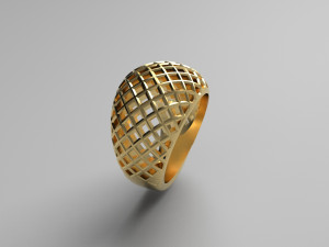 Cribriform ring Modelo de impresión 3D