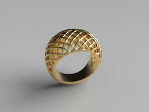 Cribriform ring Modelo de impresión 3D