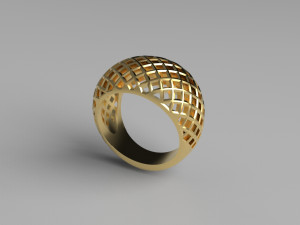 Cribriform ring Modelo de impresión 3D