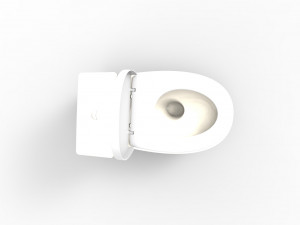 Toilet 3D Model