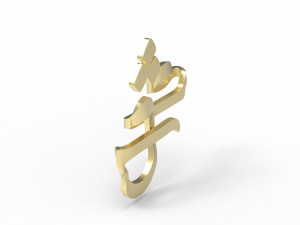 Twisted love - Eshgh 3D 打印模型