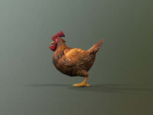 Chicken Model 3D