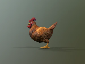 Chicken 3D Model