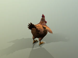Chicken 3D Model