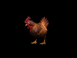 Chicken 3D Model
