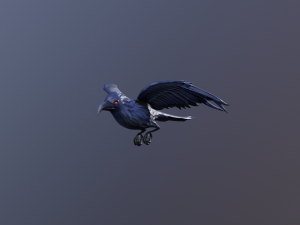 Crows 3D मॉडल