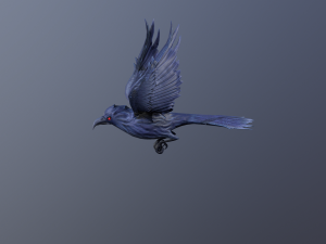 Crows 3D Model
