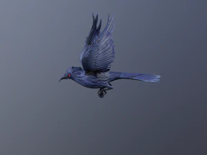 Crows 3D Model