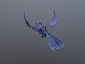 Crows 3D Model