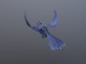 Crows 3D Model