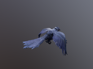 Crows 3D Model