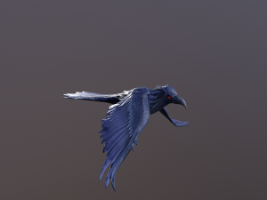 Crows 3D Model