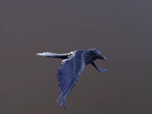 Crows 3D Model