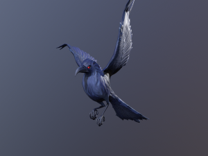 Crows 3D Model