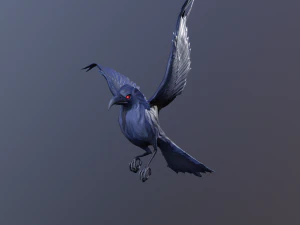 Crows 3D Model
