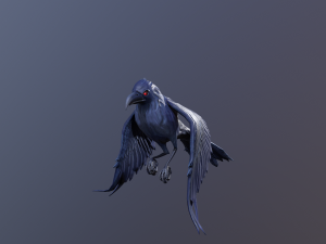 Crows 3D Model