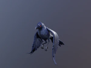 Crows 3D Model