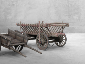 Wagon Modello 3D