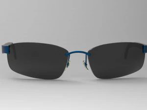 Glasses 3D Model
