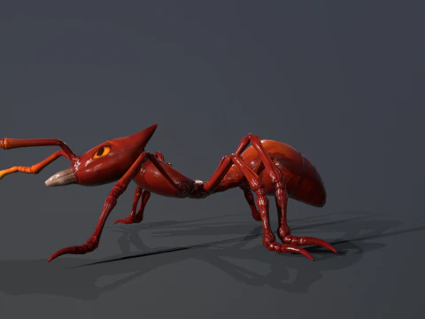 Ant Stylized 3D Model