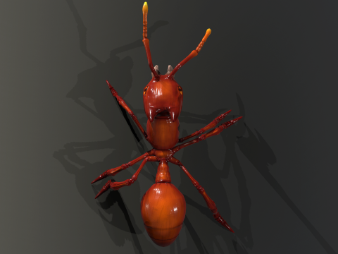 Ant Stylized 3D 模型