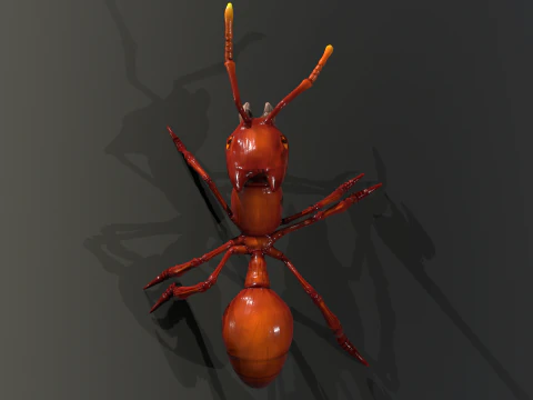 Ant Stylized 3D Model