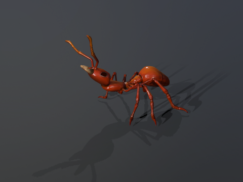 Ant Stylized 3D 模型