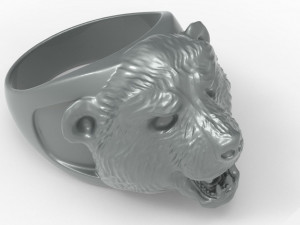 mah - ring c04 3D Model