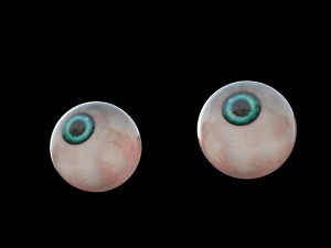 3d realistic human eye photorealistic model eyeball 3D 모델